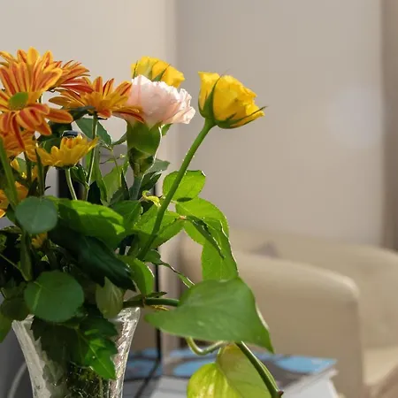 Attico Di Luna ゲストハウス 2*