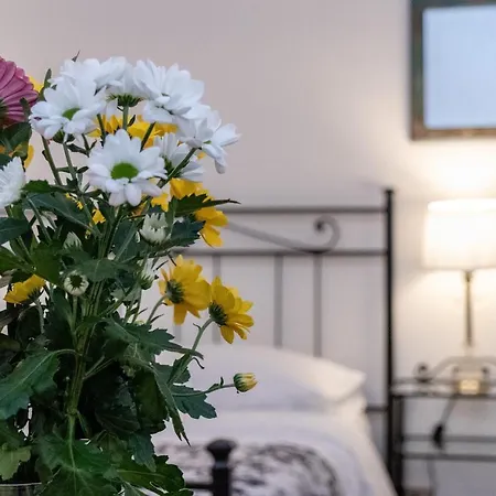 Attico Di Luna Guest house Verona
